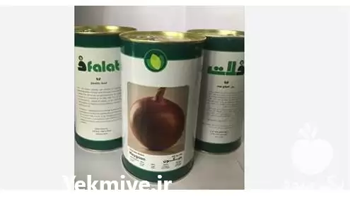 فروش بذر پیاز زرد داماسکوس در ارومیه در گروه خرید و فروش بذر پیاز در یکمیوه -عکس1