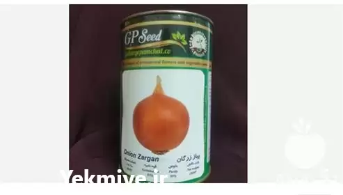 قیمت خرید توزیع بذر پیاز زرد در ارومیه در گروه خرید و فروش بذر پیاز در یکمیوه -عکس1