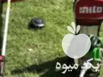 چمن زنی باغ و مزرعه در گروه خدمات باغبانی در یکمیوه -عکس1