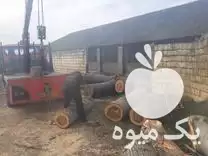 خریدار انواع چوب صنوبر و باغی در آمل در گروه خرید و فروش انواع چوب در یکمیوه -عکس1