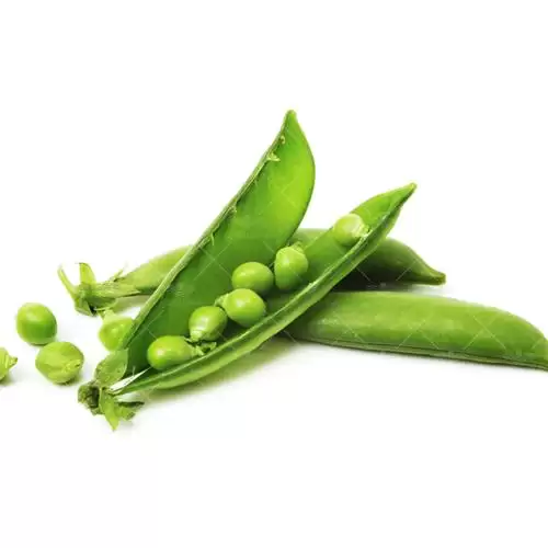 قیمت خرید بذر نخود فرنگی خانگی در تهران در گروه خرید و فروش بذر نخود در یکمیوه -عکس1