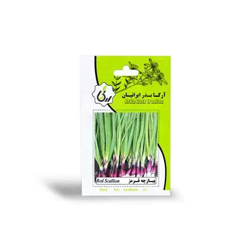 فروش بذر پیازچه قرمز یک کیلویی در تهران در گروه خرید و فروش بذر پیاز در یکمیوه -عکس1