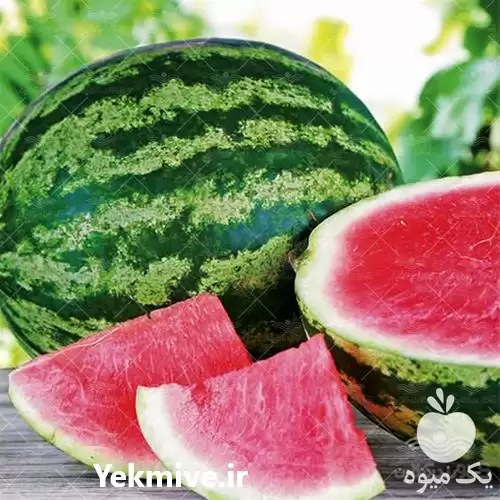 قیمت خرید بذر هندوانه خطی آرژانتینی در تهران در گروه خرید و فروش بذر هندوانه در یکمیوه -عکس1