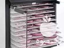 قیمت خرید انگور خشک کن سبزی در میاندوآب در گروه خشک کن در یکمیوه -عکس1