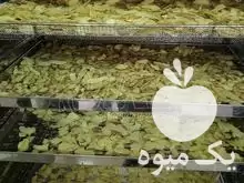 فروش دستگاههای خشک کن میوه و سبزی در ارومیه در گروه خشک کن در یکمیوه -عکس1