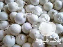 قیمت خرید پیاز سفید تمیز در گروه خرید و فروش پیاز در یکمیوه -عکس1