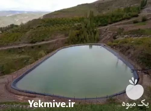 قیمت خرید استخر آب کشاورزی پلیمری در گروه خرید و فروش استخر کشاورزی در یکمیوه -عکس1