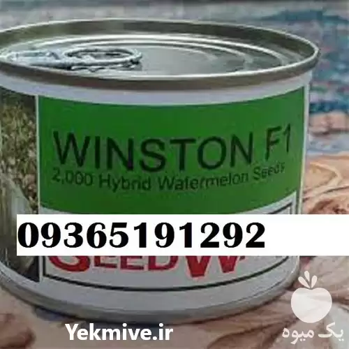 قیمت خرید بذر گوجه ویلمورین در شیراز در گروه خرید و فروش بذر گوجه در یکمیوه -عکس1