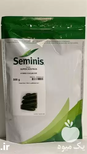فروش بذر خیار در مشهد در گروه خرید و فروش بذر خیار در یکمیوه -عکس1