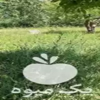 قیمت خرید علوفه در اردبیل در گروه خوراک دام و طیور در یکمیوه