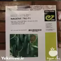 فروش بذر خیار ناگین در مشهد در گروه خرید و فروش بذر خیار در یکمیوه