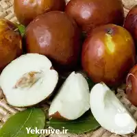 قیمت خرید نهال عناب چینی آجری در گروه خرید و فروش نهال عناب در یکمیوه