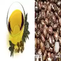 فروش عمده روغن کرچک با کیفیت در تهران در گروه خرید و فروش انواع روغن در یکمیوه