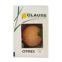 قیمت خرید بذر خربزه گالیا سیتیرکس در گروه خرید و فروش بذر خربزه در یکمیوه