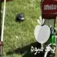 چمن زنی باغ و مزرعه در گروه خدمات باغبانی در یکمیوه