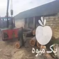 خریدار انواع چوب صنوبر و باغی در آمل در گروه خرید و فروش انواع چوب در یکمیوه