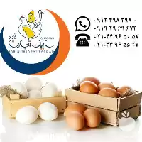 آگهی مشابه قیمت خرید صادرات تخم مرغ خوراکی در تهران در گروه انواع تخم ها در یکمیوه