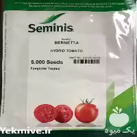 قیمت خرید بذر گوجه فرنگی برنتا در اصفهان در گروه خرید و فروش بذر گوجه در یکمیوه