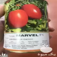 فروش بذر گوجه فرنگی مارول اسپانیا در بوشهر در گروه خرید و فروش بذر گوجه در یکمیوه