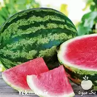 قیمت خرید بذر هندوانه خطی آرژانتینی در تهران در گروه خرید و فروش بذر هندوانه در یکمیوه