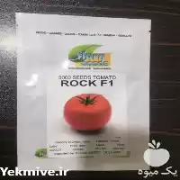 فروش بذر گوجه راک با کیفیت در شیراز در گروه خرید و فروش بذر گوجه در یکمیوه