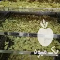 فروش دستگاههای خشک کن میوه و سبزی در ارومیه در گروه خشک کن در یکمیوه