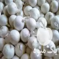 قیمت خرید پیاز سفید تمیز در گروه خرید و فروش پیاز در یکمیوه