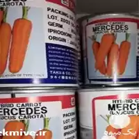 قیمت خرید بذر هویج تاکی مرسدس در یزد در گروه خرید و فروش بذر هویج در یکمیوه