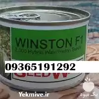 قیمت خرید بذر گوجه ویلمورین در شیراز در گروه خرید و فروش بذر گوجه در یکمیوه