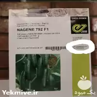 فروش بذر خیار ناگین اصل وارداتی در اهواز در گروه خرید و فروش بذر خیار در یکمیوه