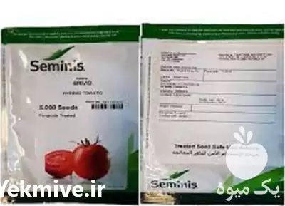 فروش قیمت بذر گوجه بریویو معرف در تهران در گروه خرید و فروش بذر گوجه در یکمیوه -عکس1