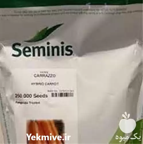 فروش بذر هویچ در زاهدان در گروه خرید و فروش بذر هویج در یکمیوه -عکس1