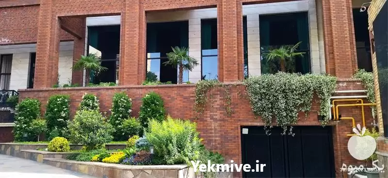 ویزیت گیاهان شما در منزل در گروه مشاوره گیاه پزشکی در یکمیوه -عکس1