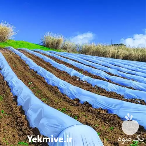 قیمت خرید پارچه های اسپان باند در سنندج در گروه خرید و فروش انواع پوشش ها در یکمیوه -عکس1