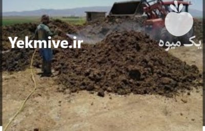 عرضه مستقیم کود مرغ خالص و خشک در کرج در گروه خرید و فروش کود مرغی در یکمیوه -عکس2