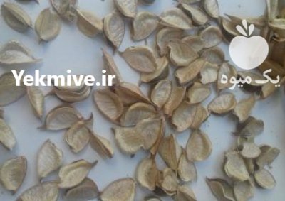 ضایعات پنبه تفاله غوزه پوفلک در آشخانه در گروه خوراک دام و طیور در یکمیوه -عکس1