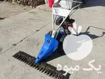 خدمات علف زنی و علف چینی در گروه خدمات باغبانی در یکمیوه -عکس1