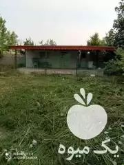 زدن زمین با چمن زن در رشت در گروه خدمات باغبانی در یکمیوه -عکس1