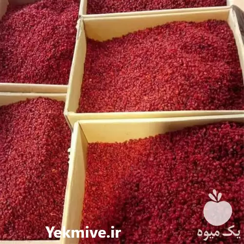 قیمت خرید زرشک در مشهد در گروه خرید و فروش زرشک در یکمیوه -عکس1