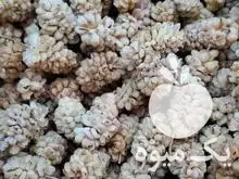 فروش توت خشک هورامان در تهران در گروه خرید و فروش توت در یکمیوه -عکس1