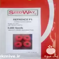 قیمت خرید بذر گوجه فرنگی رفرنس در هرمز در گروه خرید و فروش گوجه فرنگی در یکمیوه