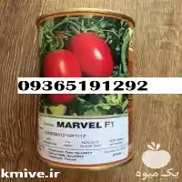 فروش بذر گوجه در سنندج در گروه خرید و فروش بذر گوجه در یکمیوه