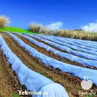 قیمت خرید پارچه های اسپان باند در سنندج در گروه خرید و فروش انواع پوشش ها در یکمیوه