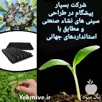 فروش سینی نشا در بوشهر در گروه خرید و فروش نشا در یکمیوه