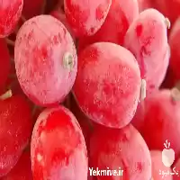 قیمت خرید زرشک پفکی در یزد در گروه خرید و فروش زرشک در یکمیوه