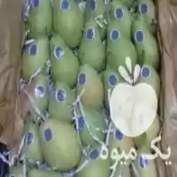 فروش خریدار گلابی در قزوین در گروه خرید و فروش گلابی در یکمیوه