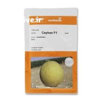 فروش بذر خربزه گالیا سیهان نانهمز در گروه خرید و فروش بذر خربزه در یکمیوه