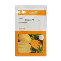 بذر ملون خربزه اوریانا نانهمز در بجنورد در گروه خرید و فروش بذر ملون در یکمیوه