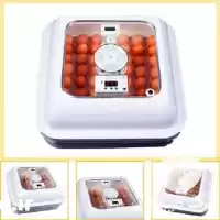 قیمت خرید دستگاه جوجه کشی تایی در تهران در گروه تجهیزات مرغداری در یکمیوه