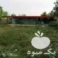 زدن زمین با چمن زن در رشت در گروه خدمات باغبانی در یکمیوه